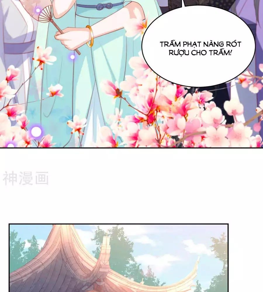 Phượng Hoàng Thác: Chuyên Sủng Khí Thê Chapter 42 - 11