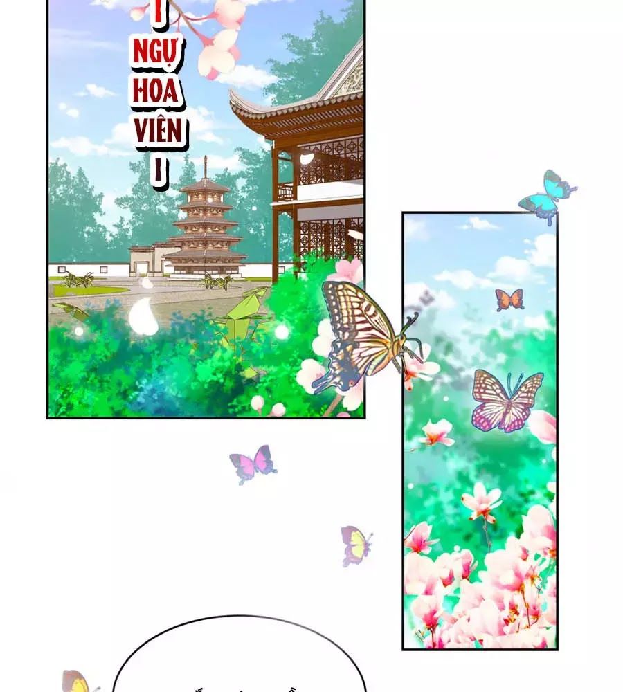 Phượng Hoàng Thác: Chuyên Sủng Khí Thê Chapter 42 - 8