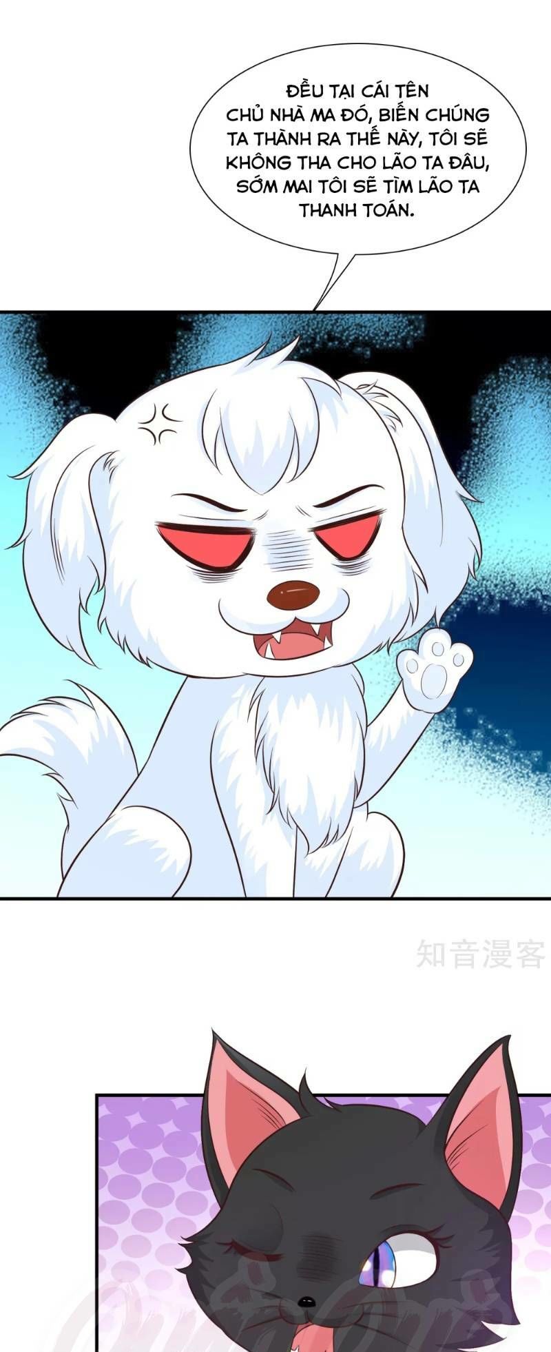 Tối Cường Vận Đào Hoa Chapter 79 - 17