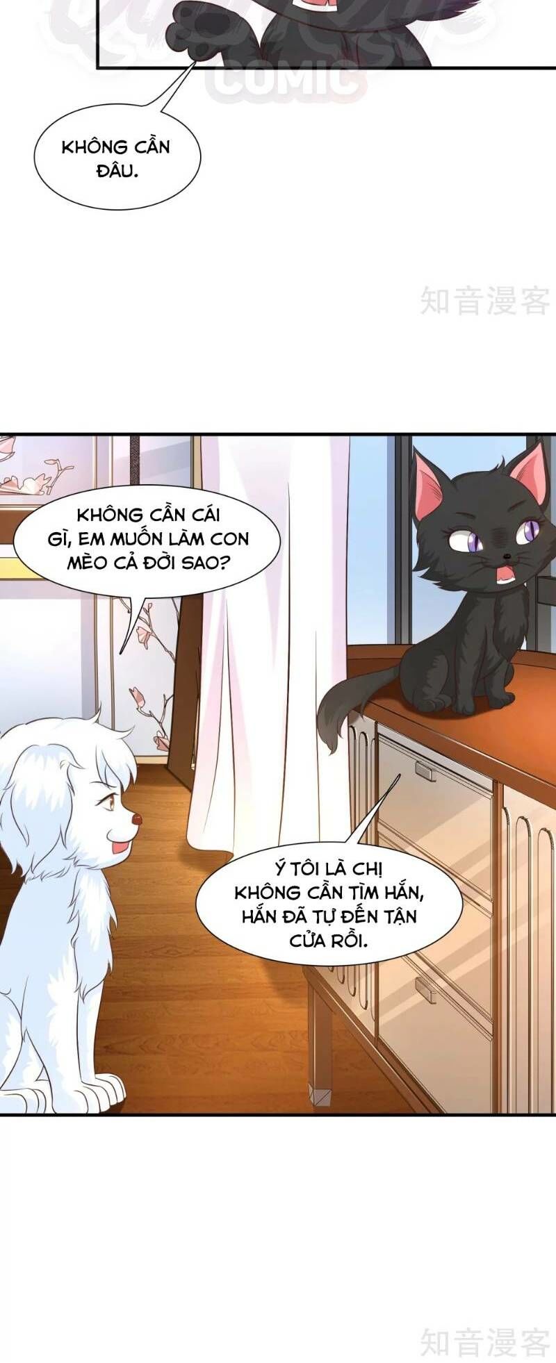 Tối Cường Vận Đào Hoa Chapter 79 - 18