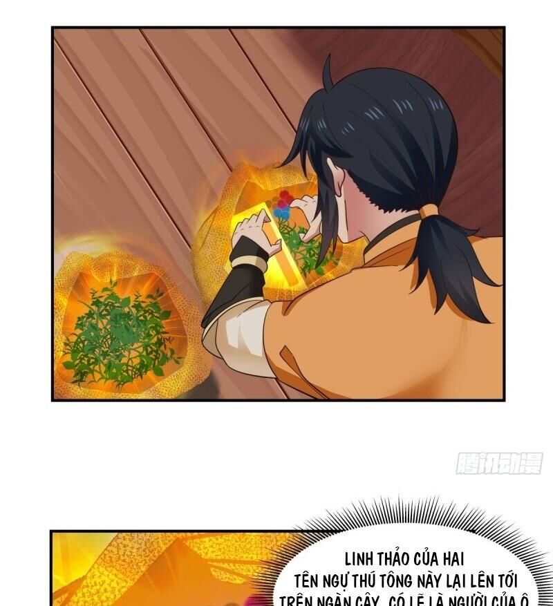 Hỗn Độn Đan Thần Chapter 42 - 12