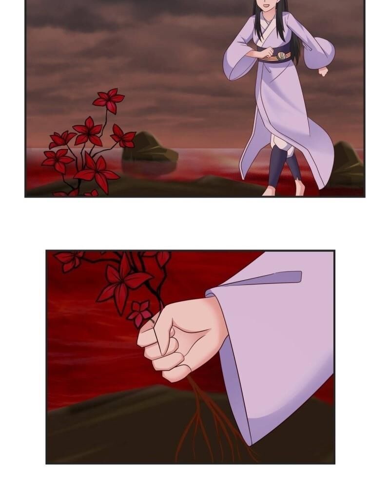 Hỗn Độn Đan Thần Chapter 43 - 16