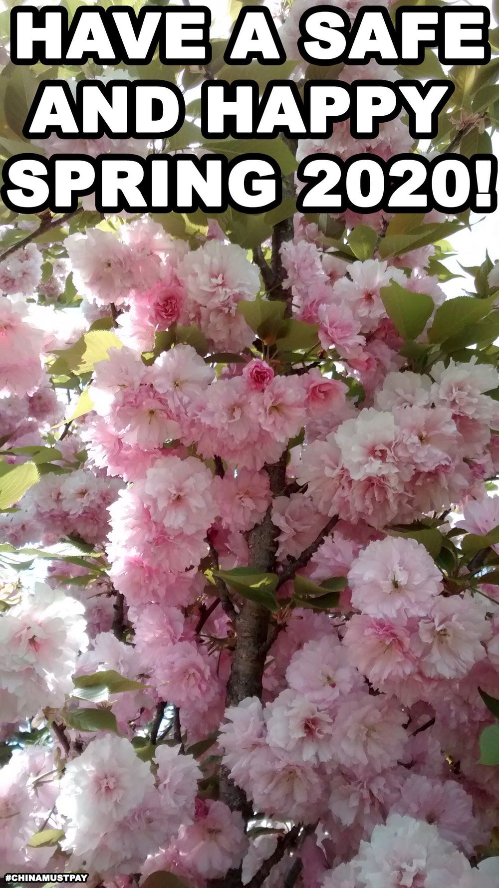 Ore Wa Lolicon Ja Nai! Chapter 6 - 26