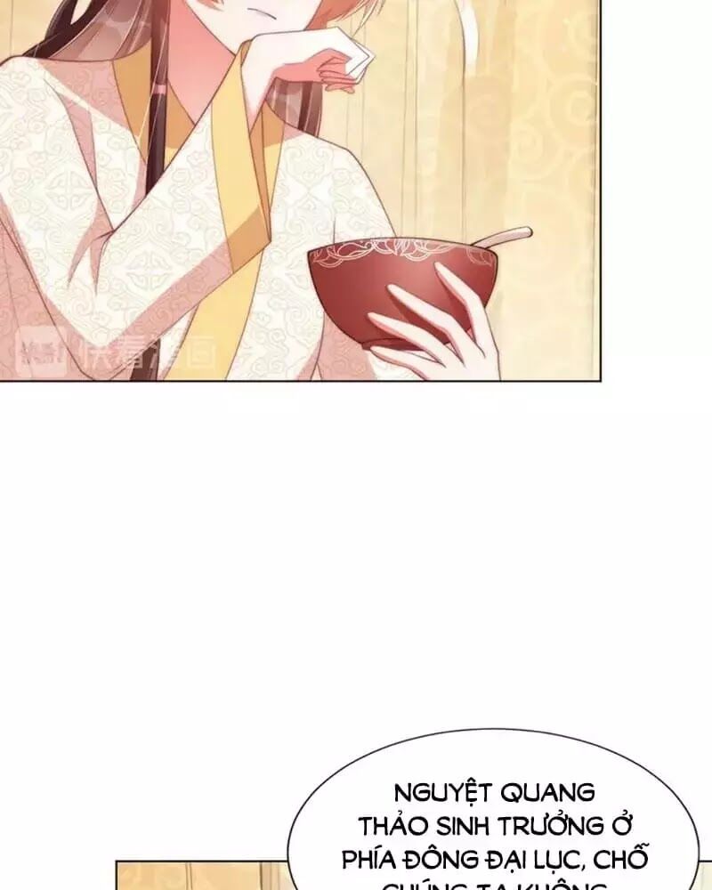 Công Chúa Tại Thượng: Quốc Sư Mời Xuống Kiệu Chapter 33 - 27