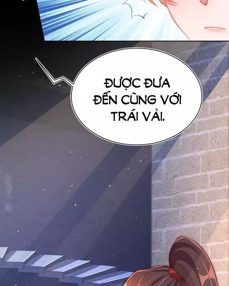 Công Chúa Tại Thượng: Quốc Sư Mời Xuống Kiệu Chapter 33 - 49