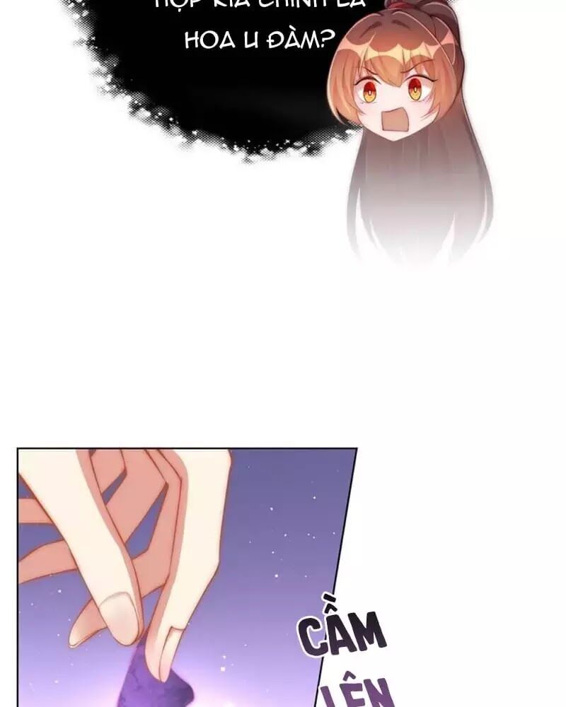 Công Chúa Tại Thượng: Quốc Sư Mời Xuống Kiệu Chapter 33 - 64