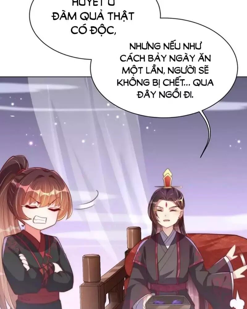 Công Chúa Tại Thượng: Quốc Sư Mời Xuống Kiệu Chapter 33 - 84