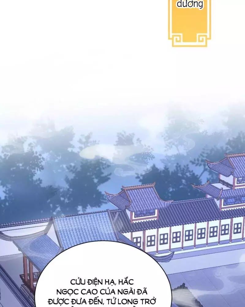 Công Chúa Tại Thượng: Quốc Sư Mời Xuống Kiệu Chapter 8 - 34