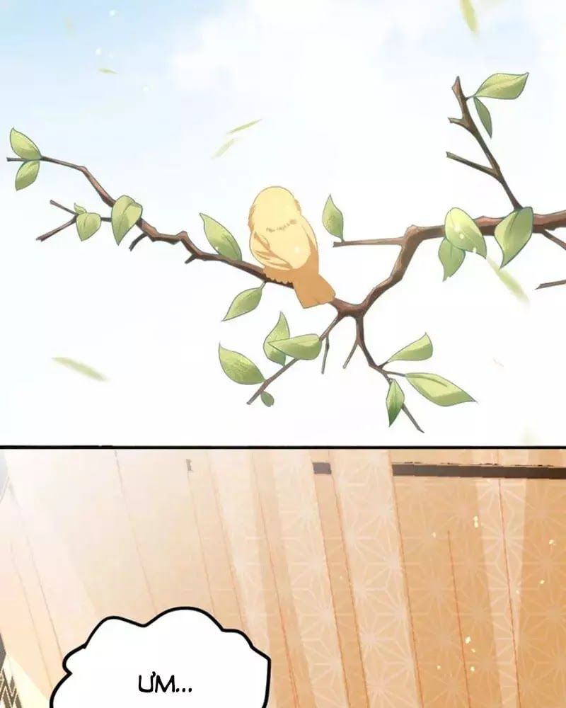 Công Chúa Tại Thượng: Quốc Sư Mời Xuống Kiệu Chapter 8 - 8