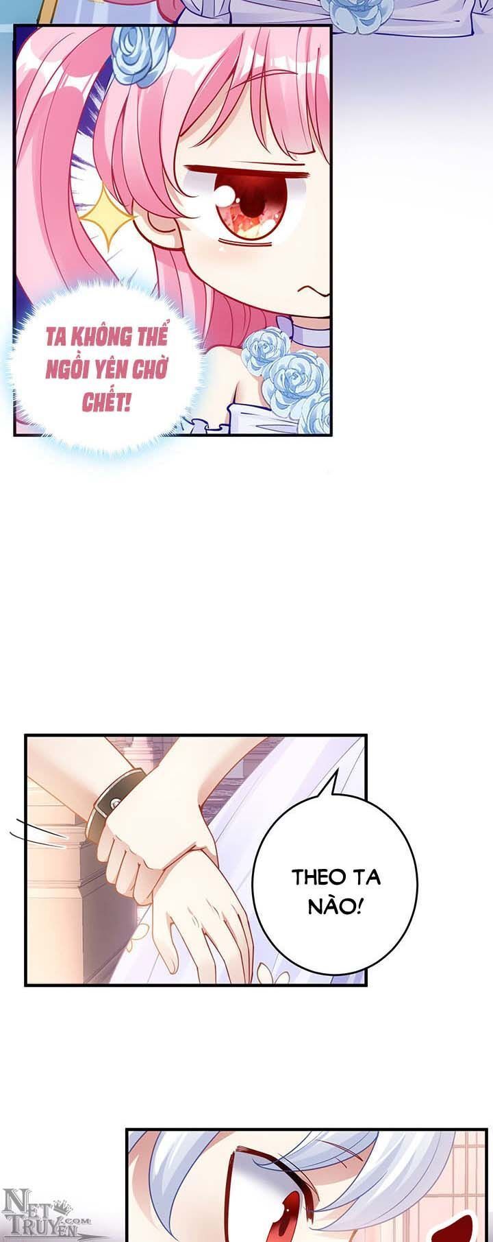 Quy Tắc Sinh Tồn Của Công Chúa Chapter 10 - 17
