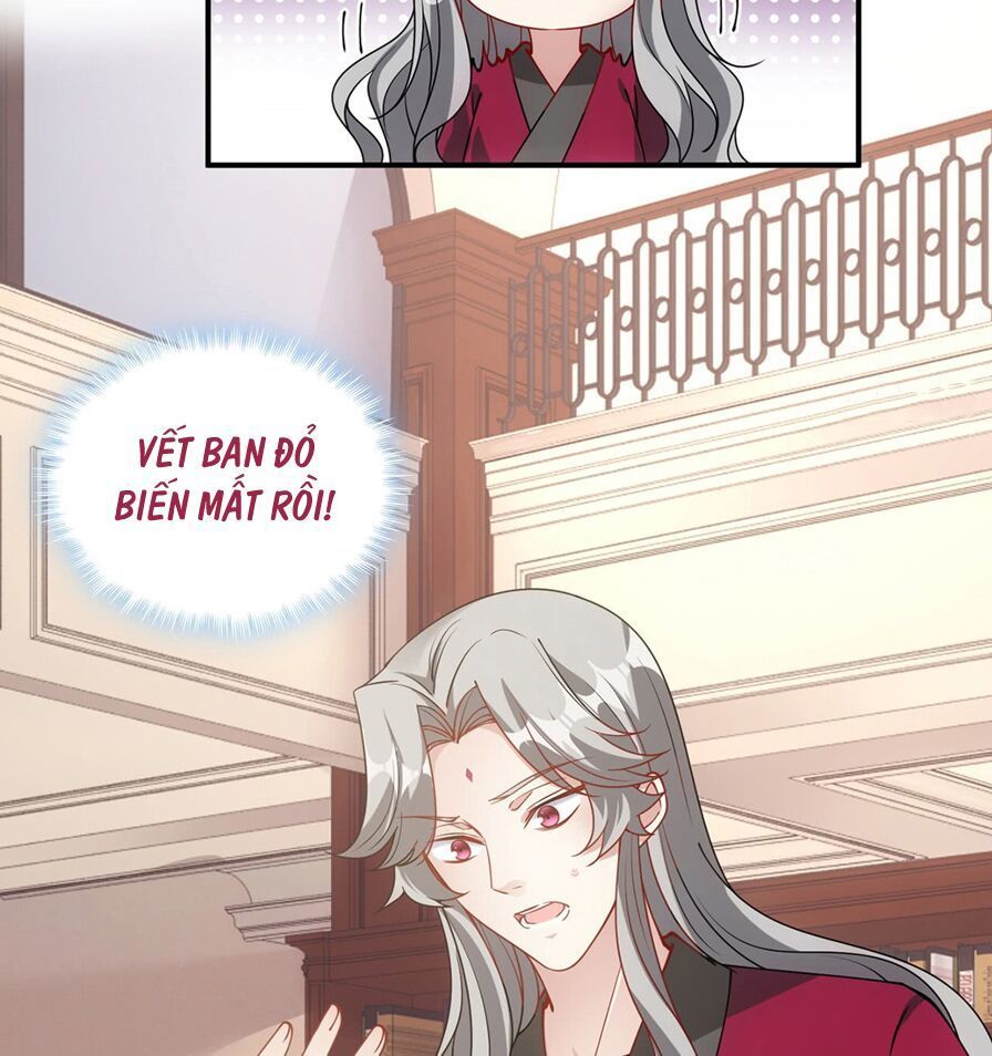 Quy Tắc Sinh Tồn Của Công Chúa Chapter 31 - 26