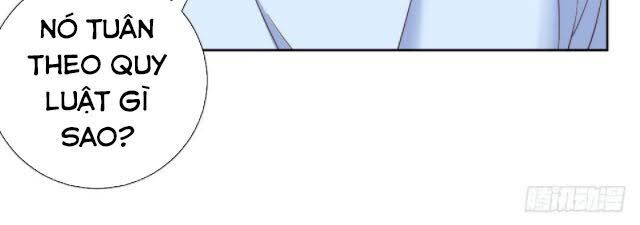 Cha Vợ Đại Nhân Là Bà Xã Chapter 2 - 50