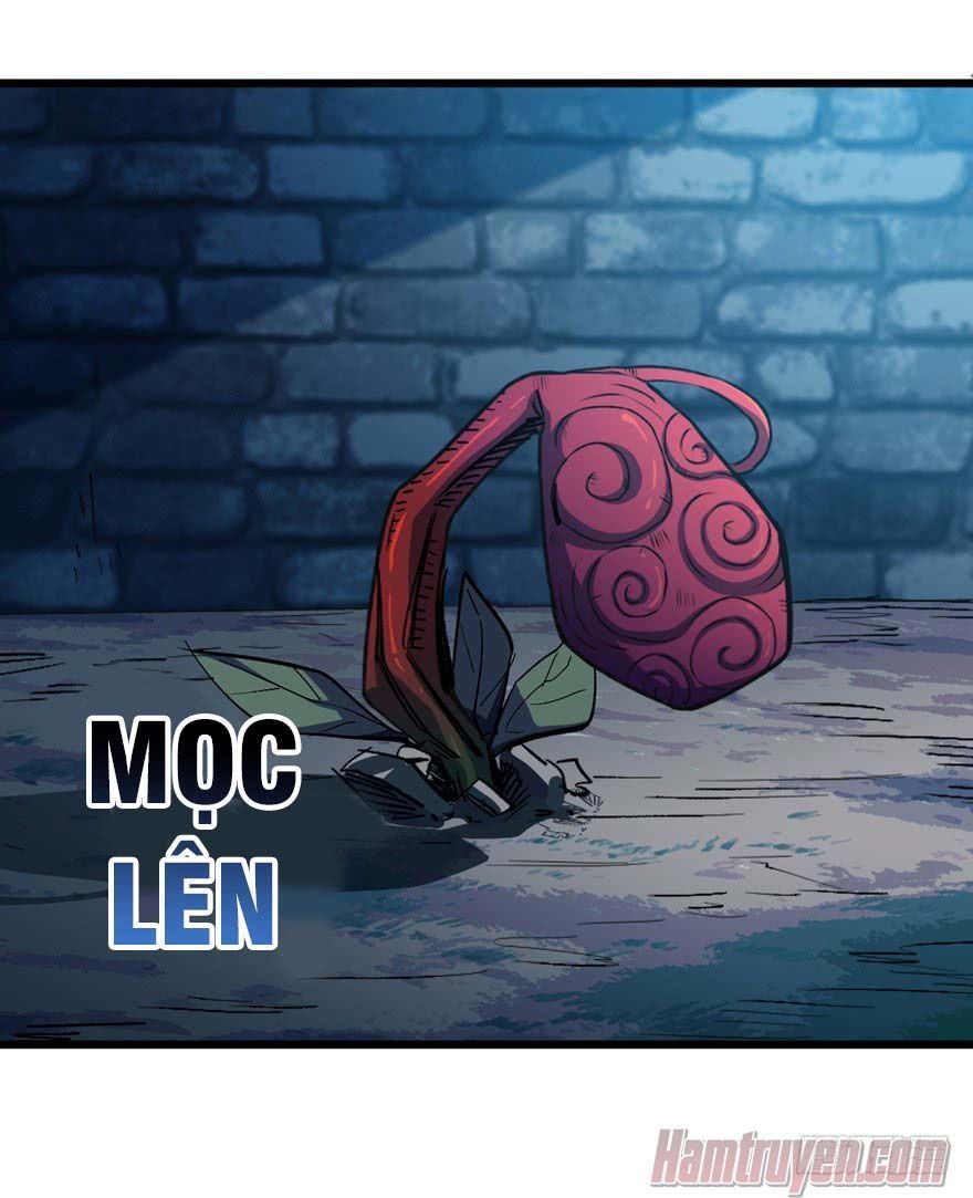 Trở Về Làm Đại Lão Thời Mạt Thế Chapter 8 - 33