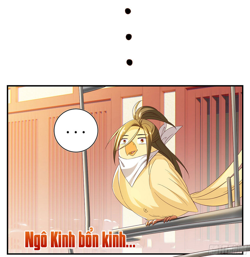 Hệ Thống Ép Ta Làm Nhân Vật Phản Diện Chapter 36 - 6