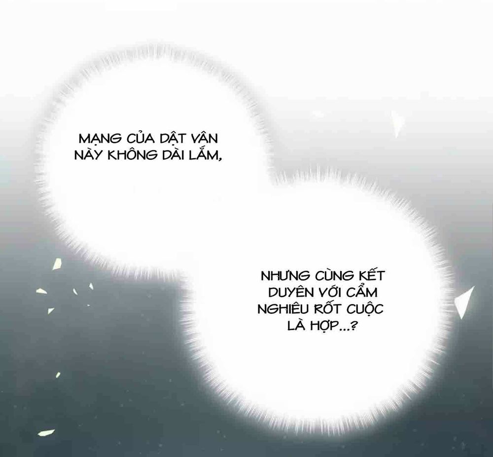 Đứa Bé Là Của Ai ???? Chapter 29 - 11