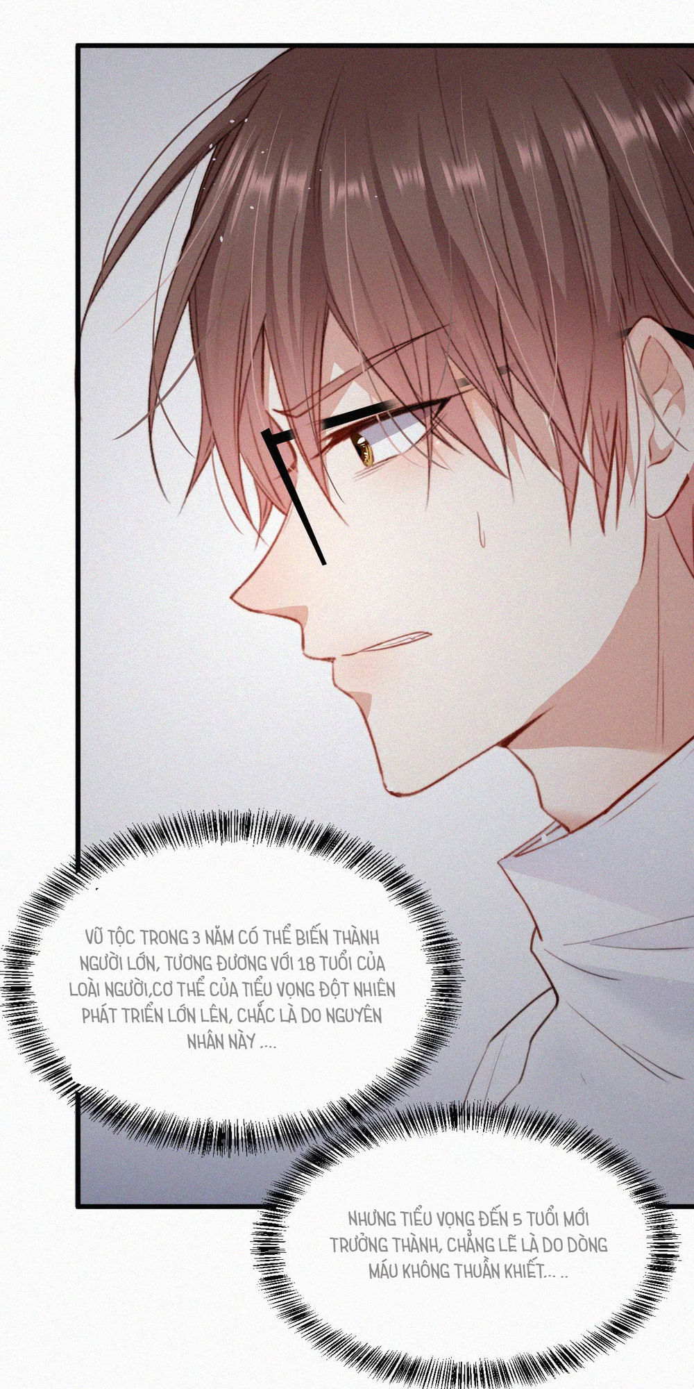 Triều Tây, Con Thích Chú Chapter 4 - 5