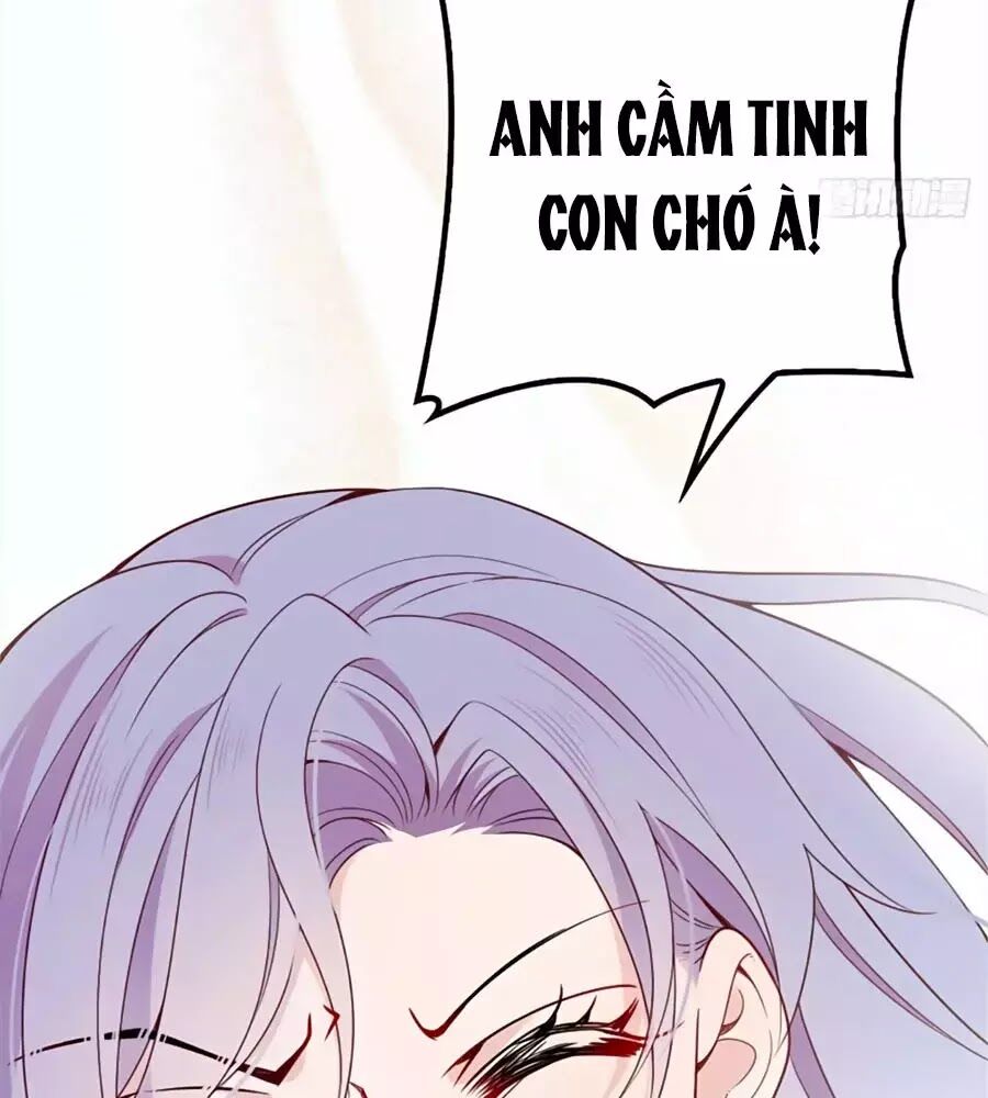 Cô Vợ Mang Thai Một Tặng Một Chapter 16 - 17