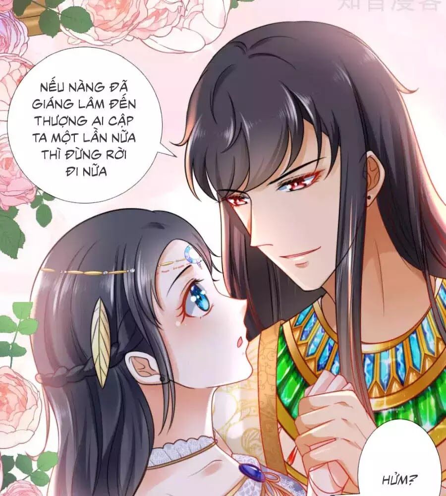 Sủng Hậu Của Vương Chapter 15 - 39