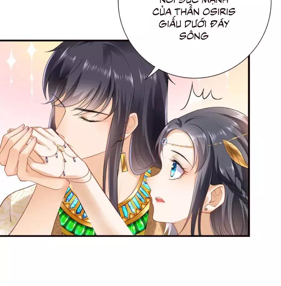 Sủng Hậu Của Vương Chapter 16 - 28