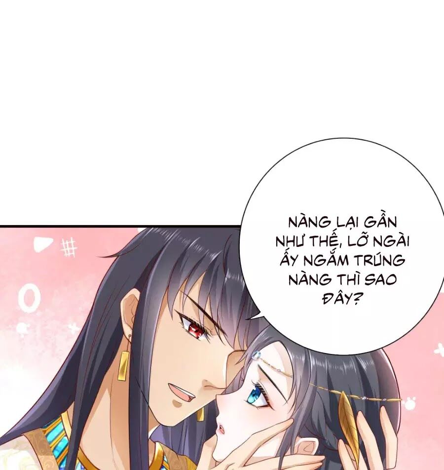 Sủng Hậu Của Vương Chapter 16 - 29