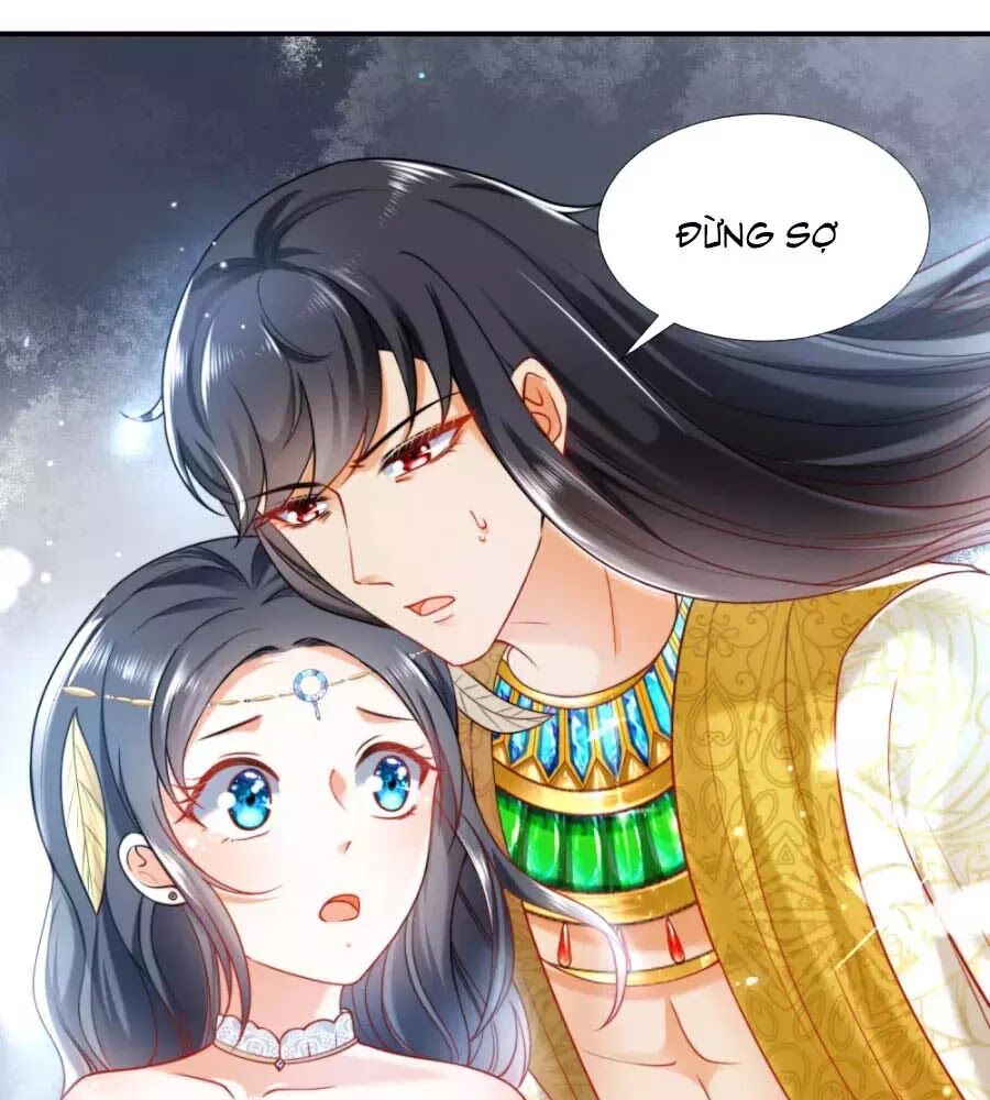 Sủng Hậu Của Vương Chapter 17 - 7