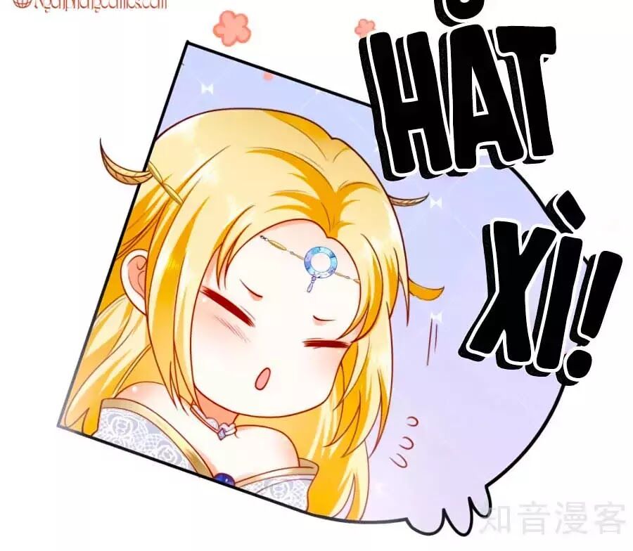 Sủng Hậu Của Vương Chapter 19 - 12