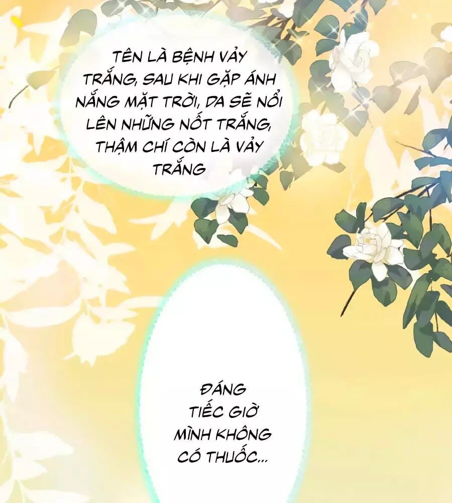 Sủng Hậu Của Vương Chapter 19 - 21