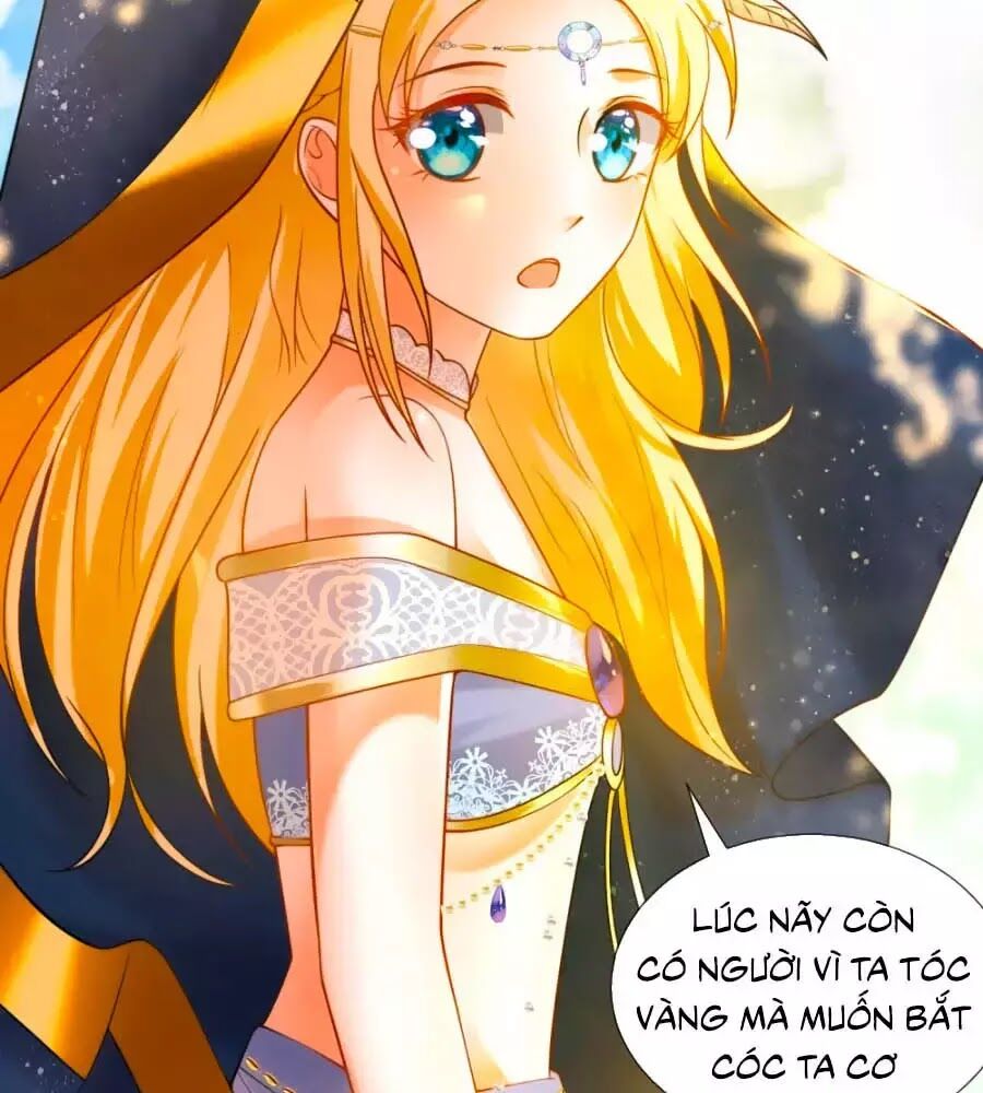 Sủng Hậu Của Vương Chapter 19 - 25