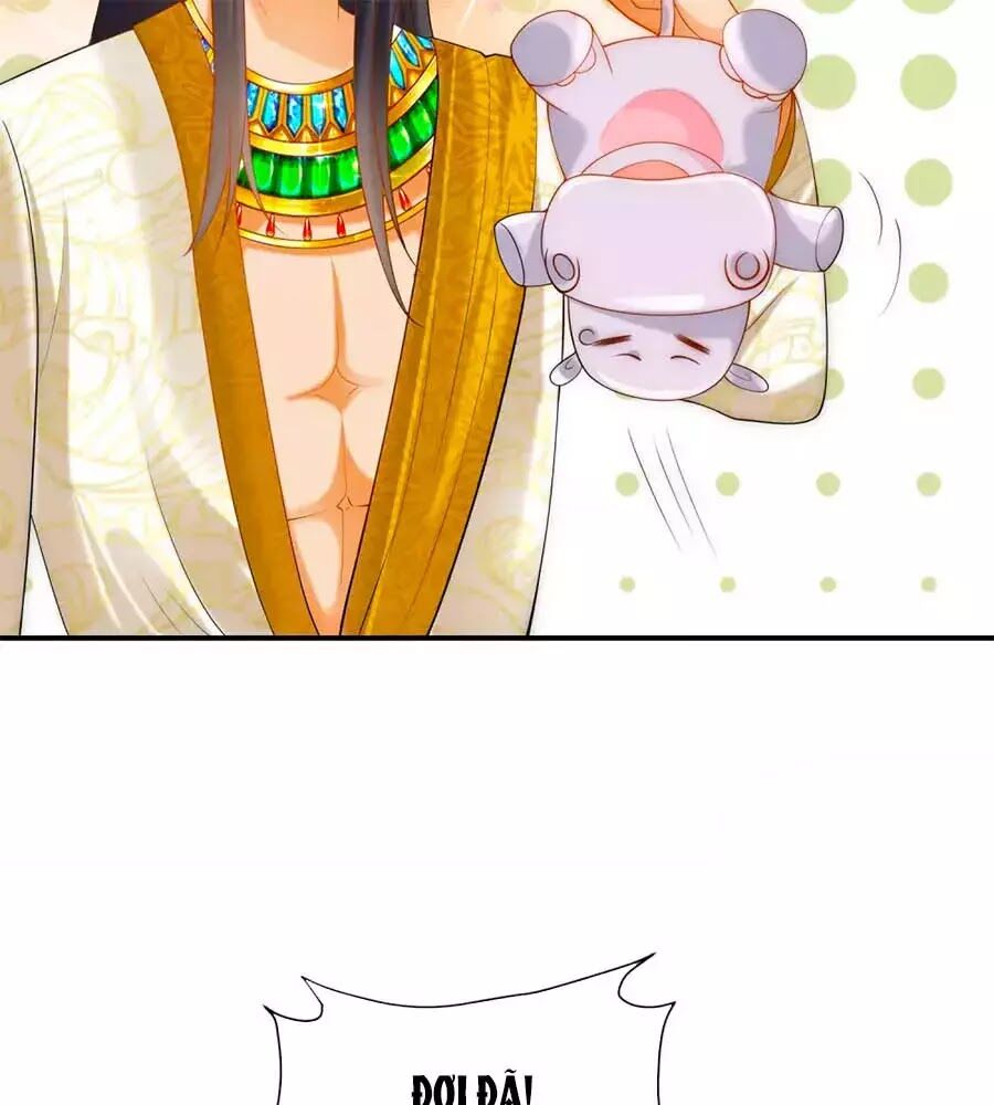 Sủng Hậu Của Vương Chapter 21 - 29