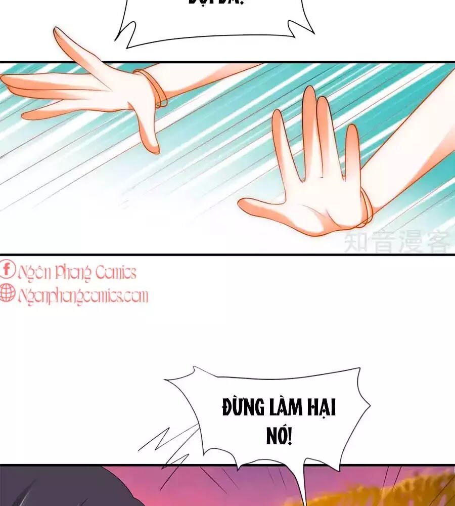 Sủng Hậu Của Vương Chapter 21 - 30