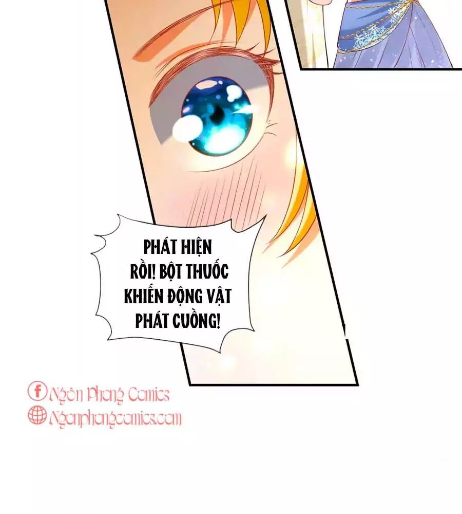 Sủng Hậu Của Vương Chapter 21 - 36