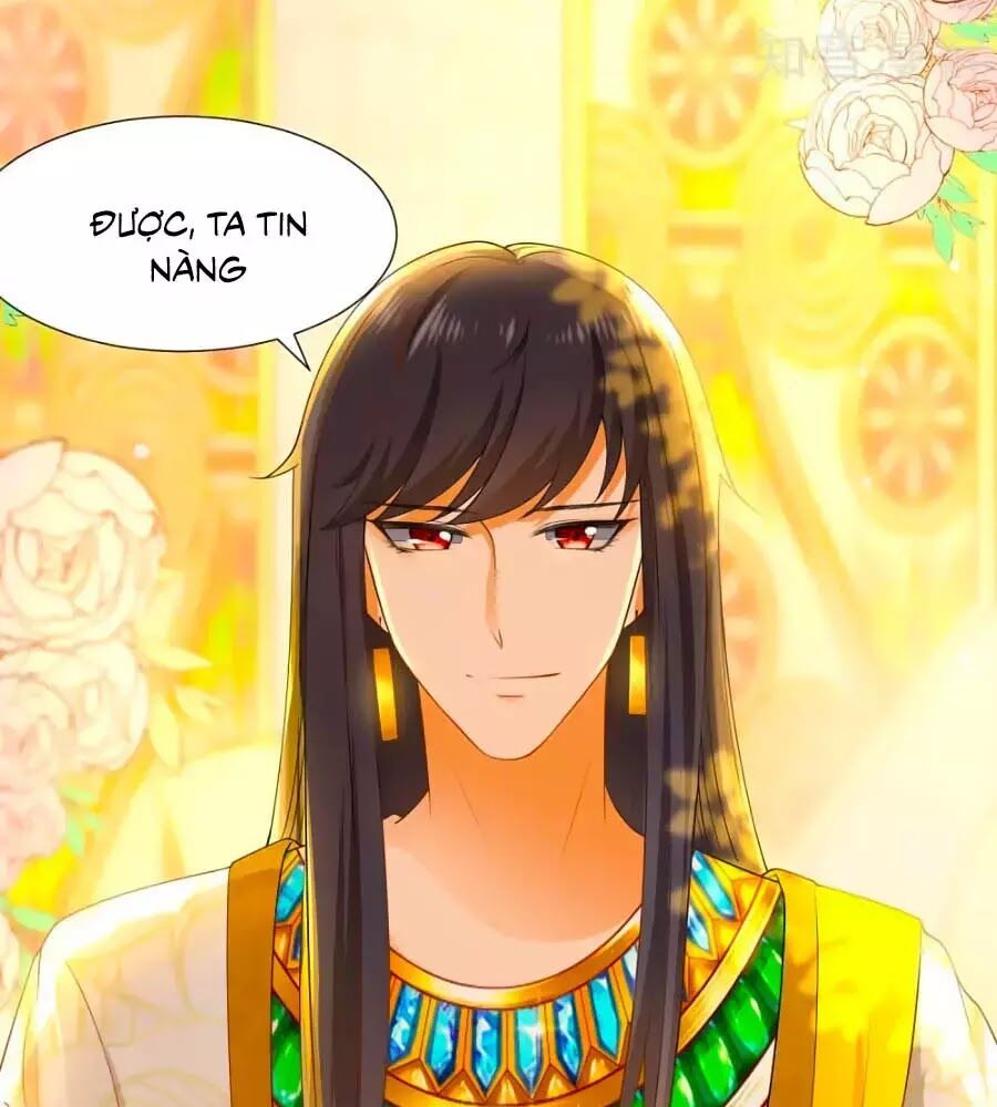Sủng Hậu Của Vương Chapter 23 - 22