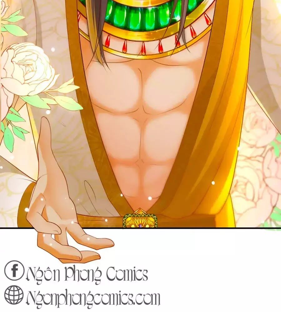 Sủng Hậu Của Vương Chapter 23 - 23