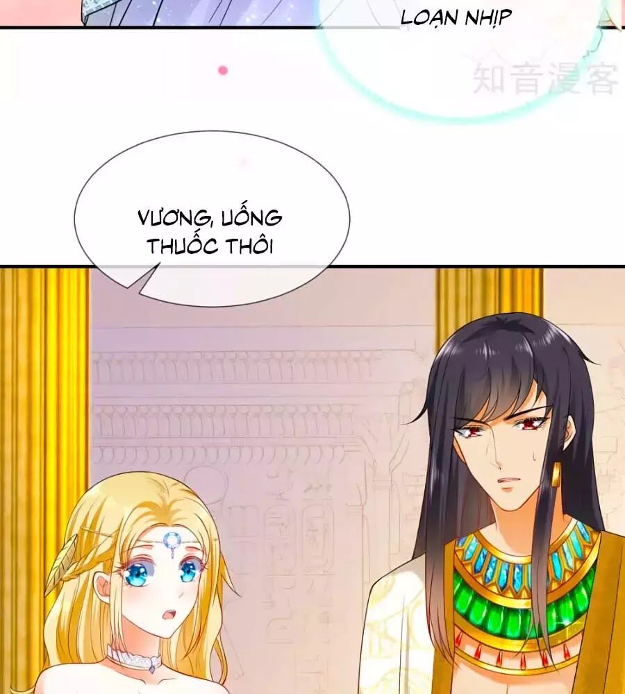 Sủng Hậu Của Vương Chapter 23 - 26