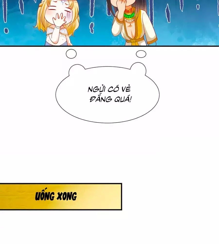 Sủng Hậu Của Vương Chapter 23 - 31