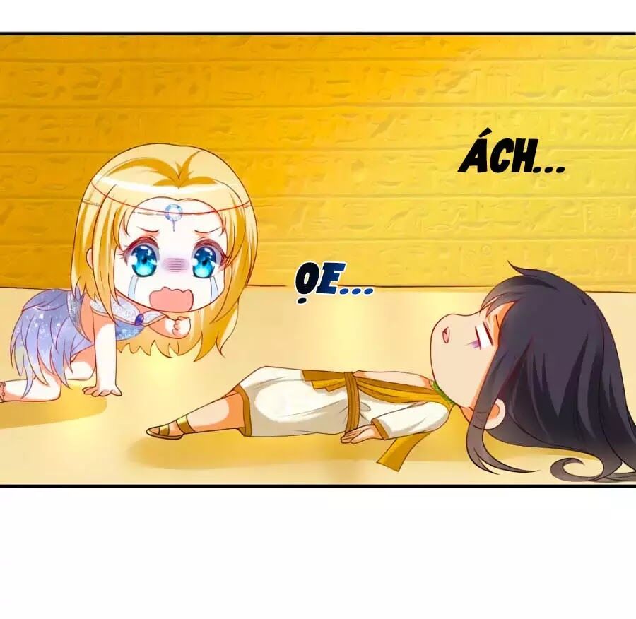 Sủng Hậu Của Vương Chapter 23 - 32
