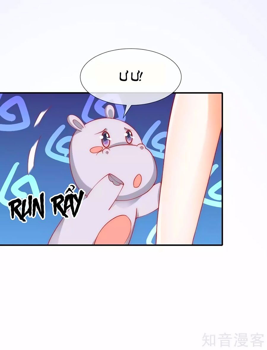 Sủng Hậu Của Vương Chapter 35 - 16