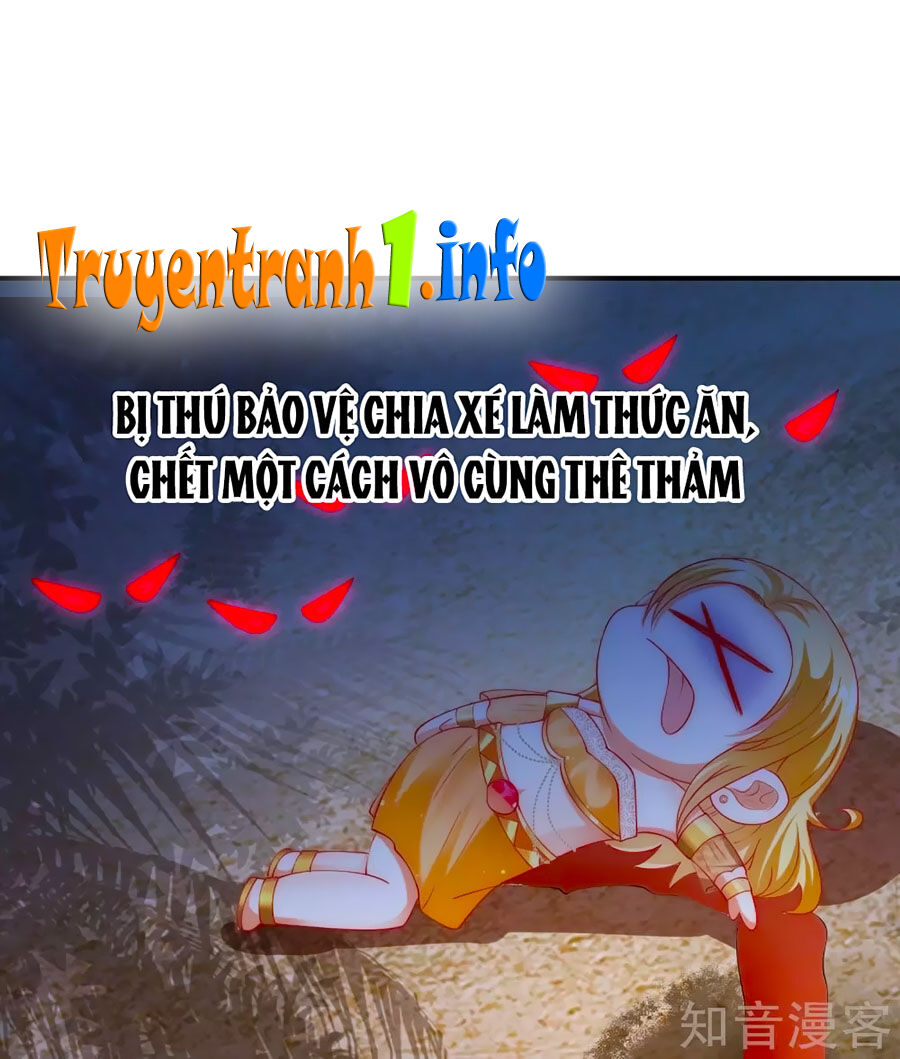 Sủng Hậu Của Vương Chapter 35 - 21