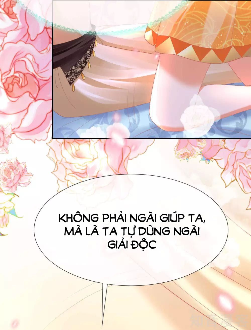 Sủng Hậu Của Vương Chapter 37 - 53