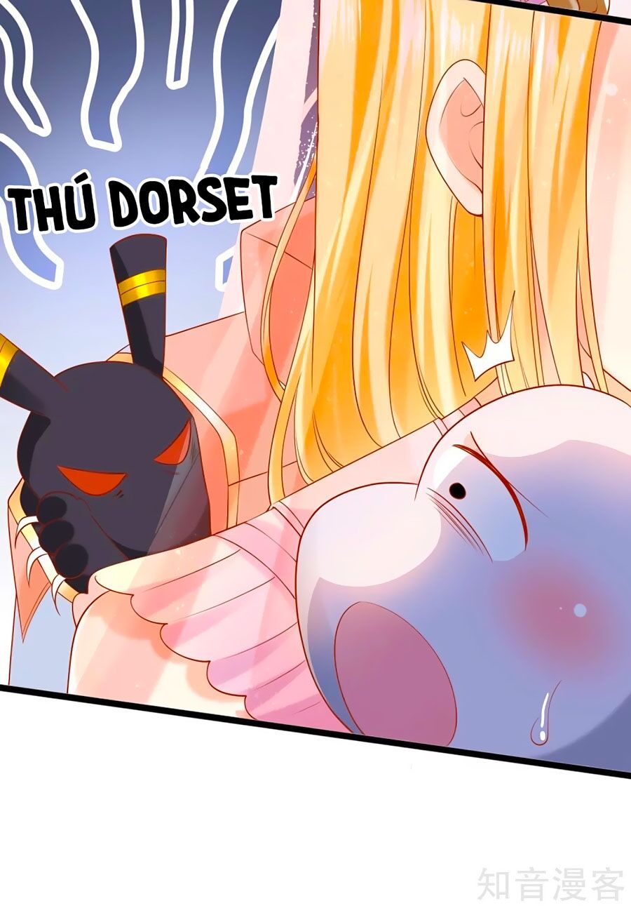 Sủng Hậu Của Vương Chapter 42 - 17