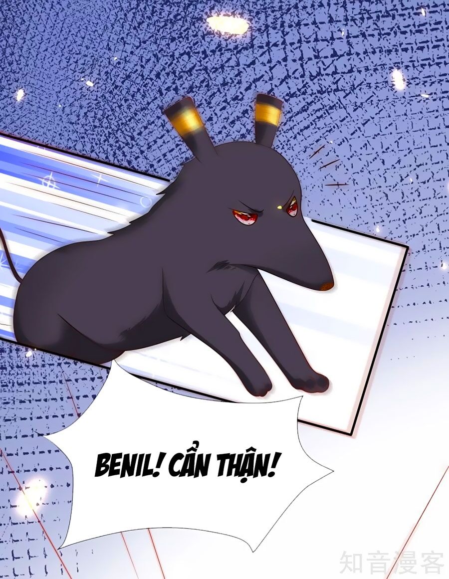 Sủng Hậu Của Vương Chapter 43 - 11