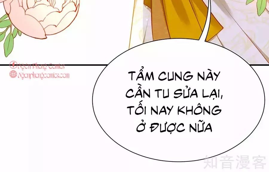 Sủng Hậu Của Vương Chapter 7 - 46