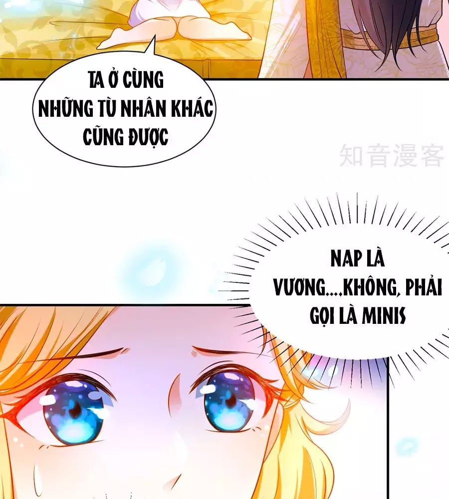 Sủng Hậu Của Vương Chapter 8 - 4