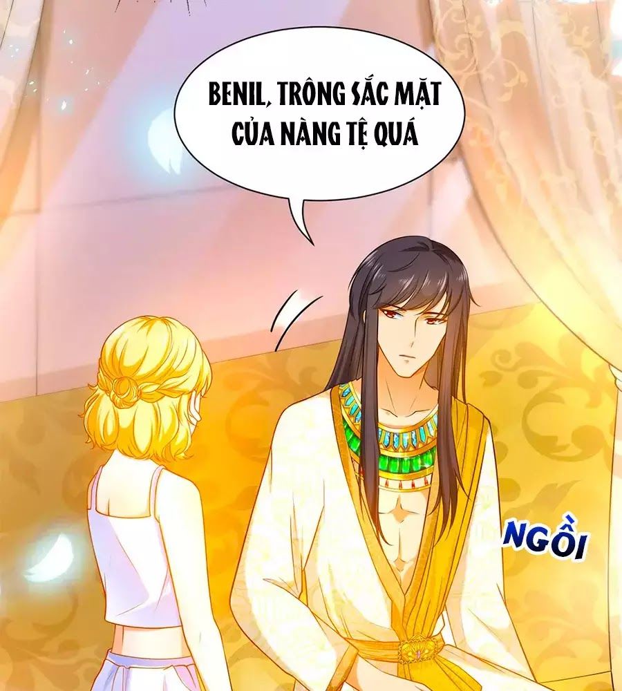 Sủng Hậu Của Vương Chapter 8 - 6