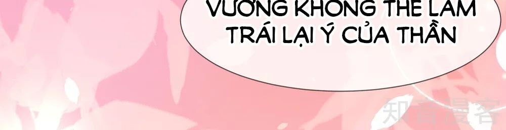 Sủng Hậu Của Vương Chapter 41 - 2