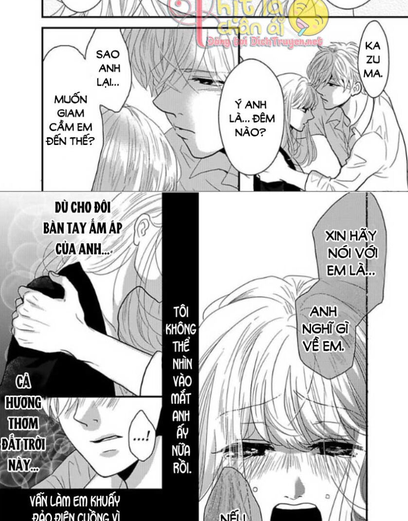 Bị Giam Cầm Bởi Chàng Trai Dịu Dàng Chapter 9 - 6