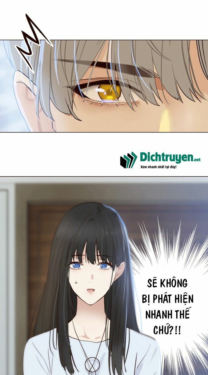 Đâu Phải Tại Tui Muốn Giả Gái Chapter 1 - 29