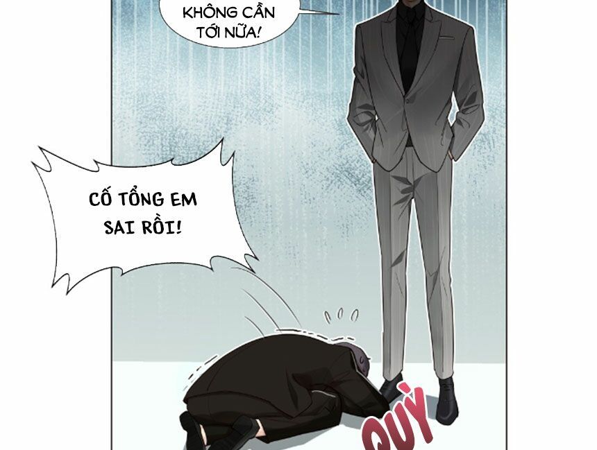 Đâu Phải Tại Tui Muốn Giả Gái Chapter 28 - 32