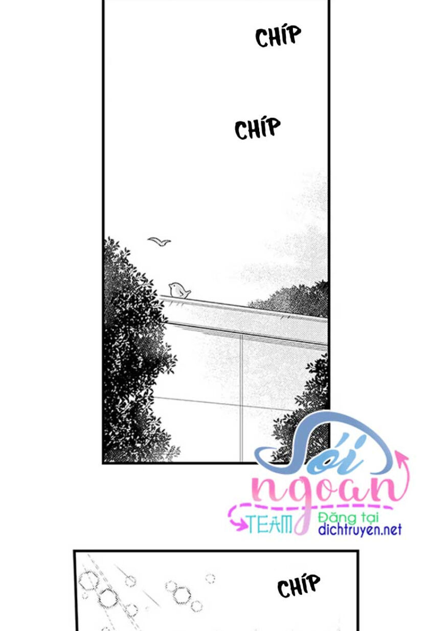 Để Em Ngủ Cùng Anh Nha, Haruomi! Chapter 19 - 42