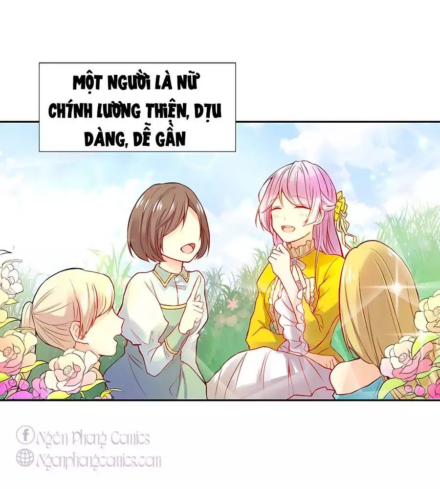 Kế Hoạch Sống Còn Của Công Chúa Nữ Phụ Chapter 3 - 27